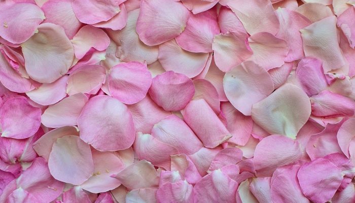 The importance of Wedding Planning